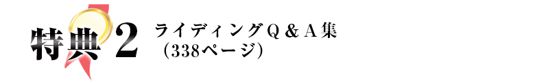 特典2 ライディングＱ＆Ａ集（３３８ページ）